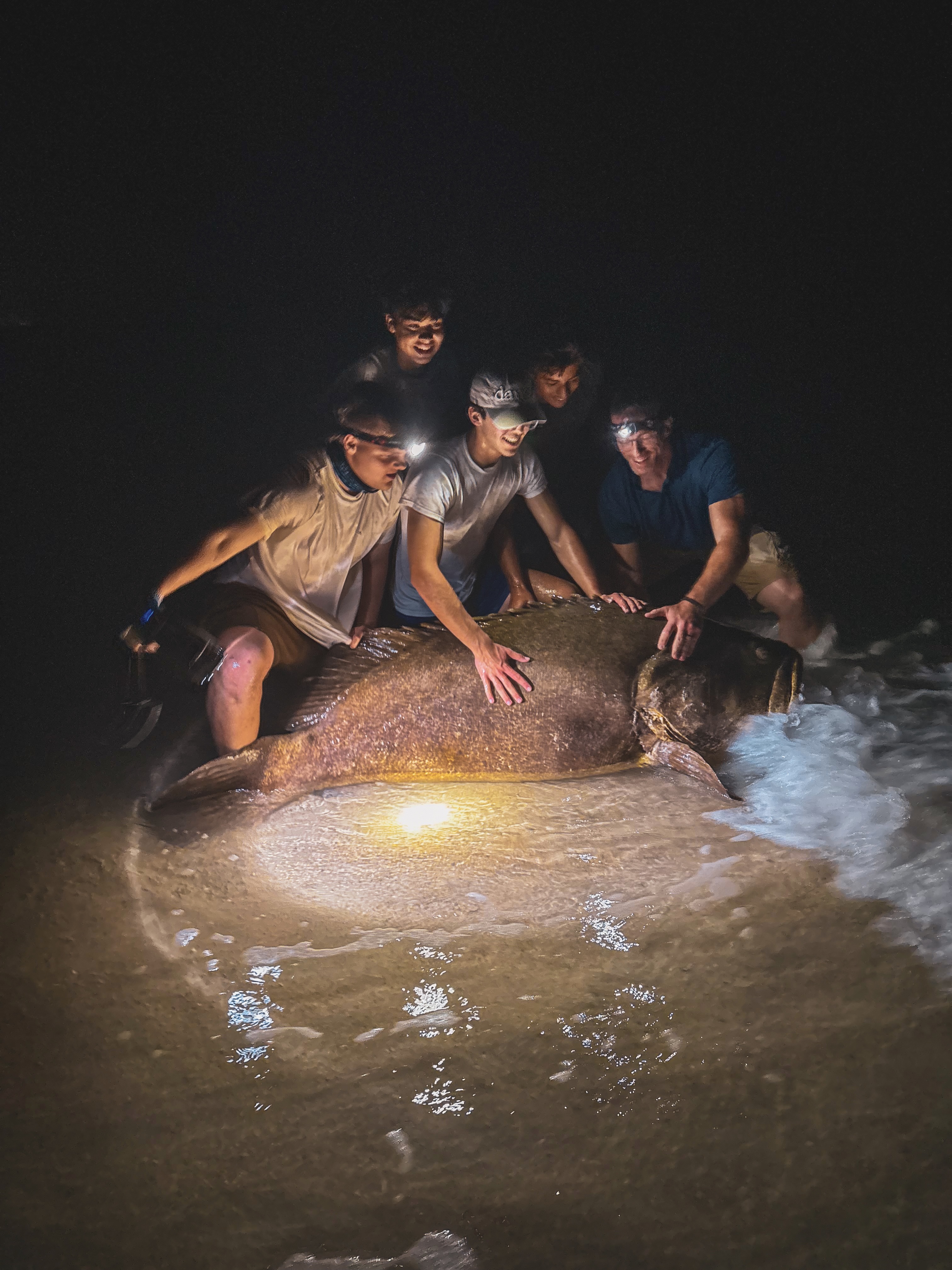 Goliath grouper catch at night — The Warm-Up trip