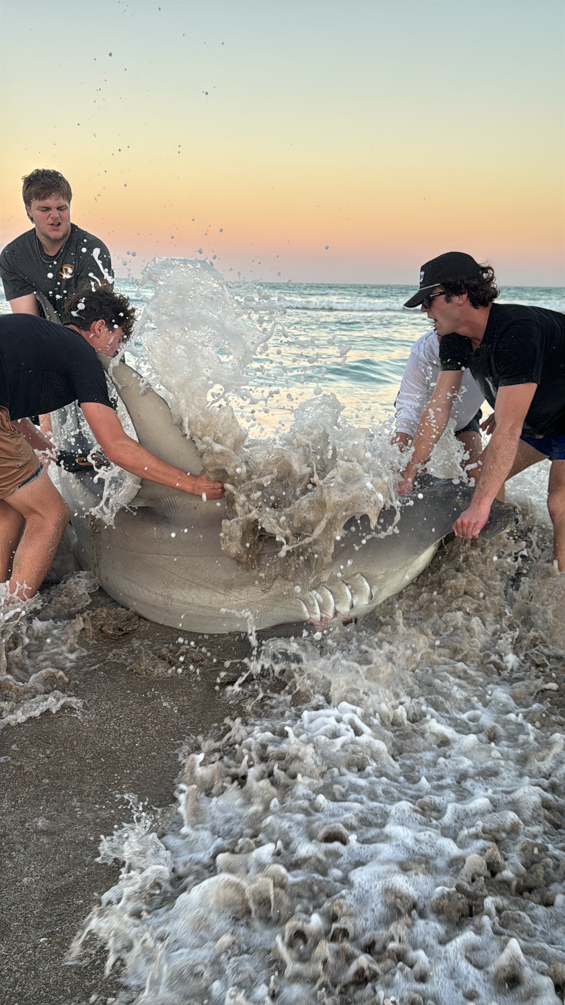 Hammerhead shark catch at sunset