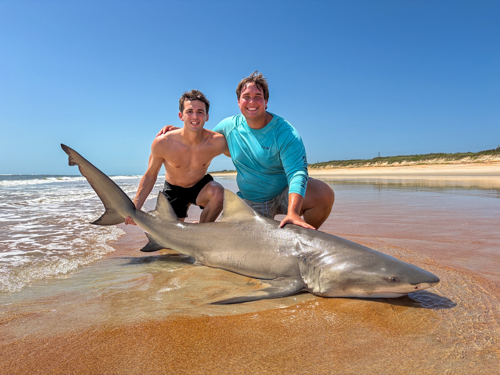 The Bite Club crew with a lemon shark on the beach