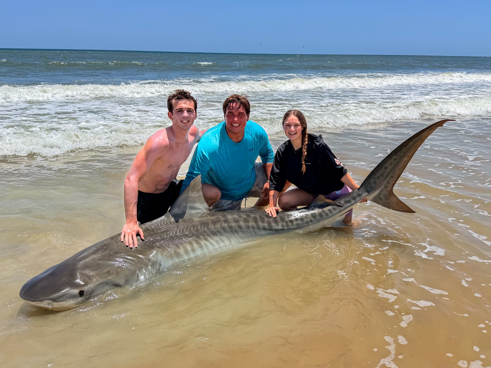 Group with tiger shark on the beach — Main Event trip