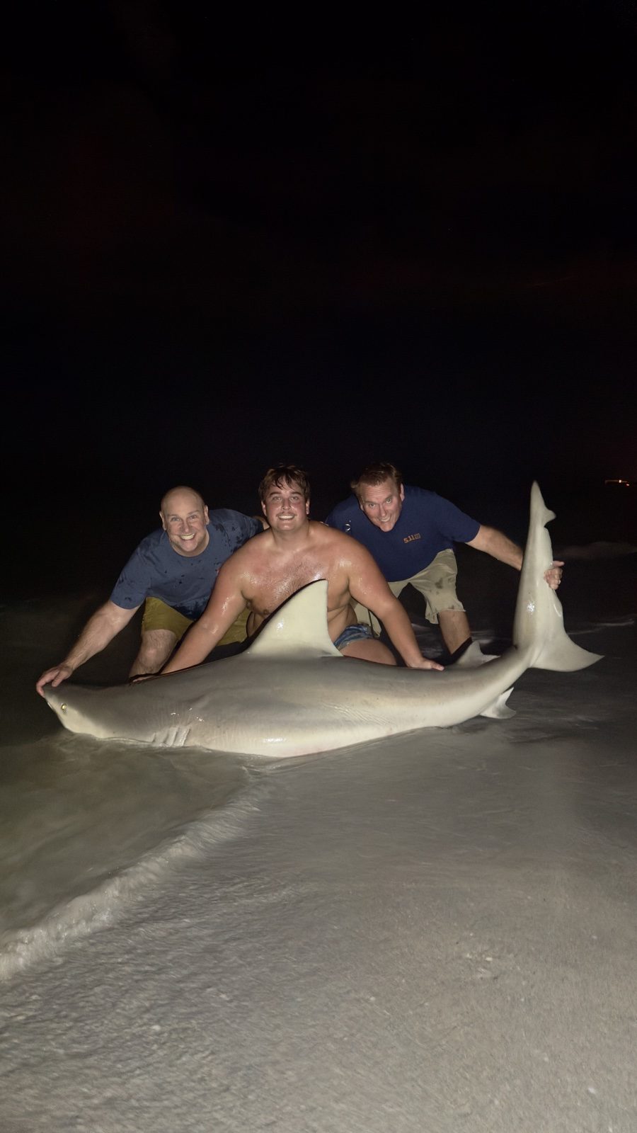 Three people beside a shark in shallow beach water at night.